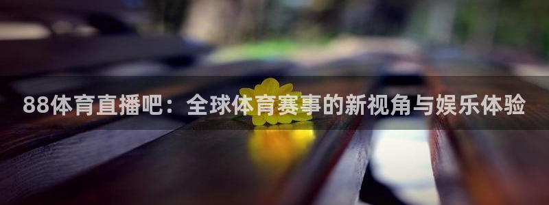 88体育直播吧：全球体育赛事的新视角与娱乐体验