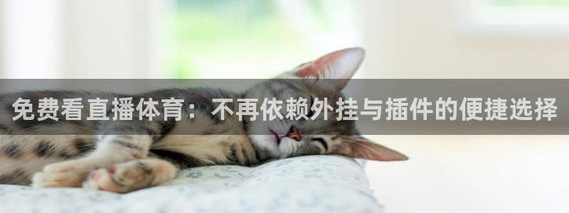 免费看直播体育：不再依赖外挂与插件的便捷选择