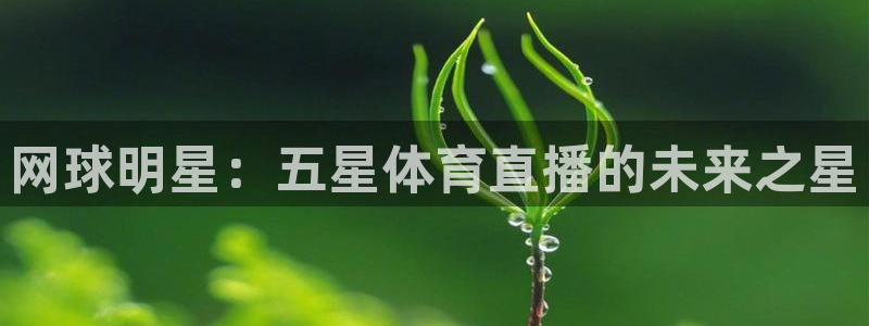 网球明星：五星体育直播的未来之星