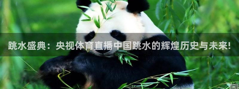 跳水盛典：央视体育直播中国跳水的辉煌历史与未来!